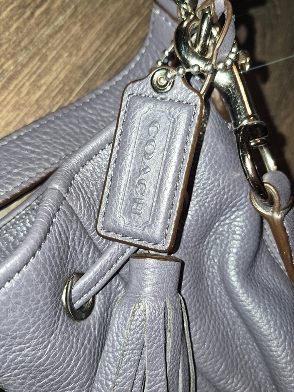 Coach pocketbook